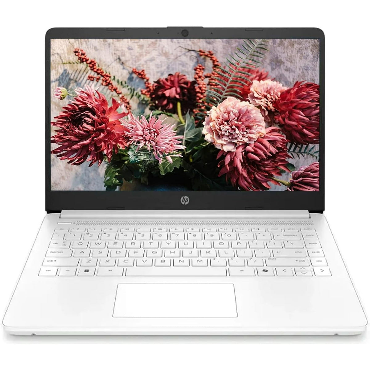 HP 14" HD Laptop for Students and Business,Intel Celeron N4120, 4GB RA
