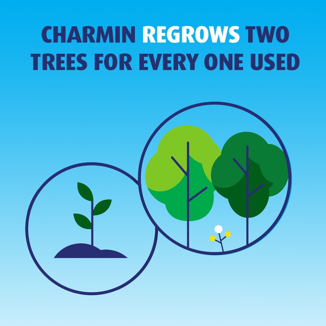 Charmin Ultra Strong Toilet Paper 12 Mega Rolls, 242 Sheets Per Roll